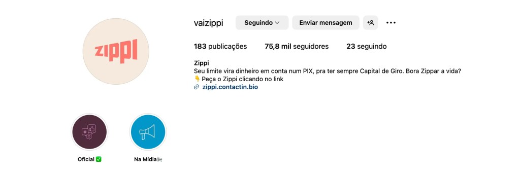 bio do instagram da zippi
