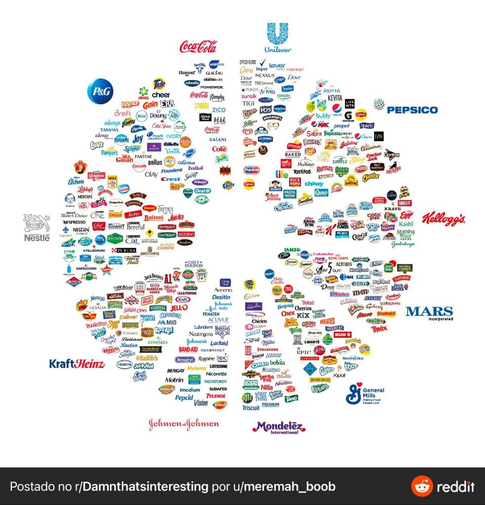 Desafios de Empreender no Brasil